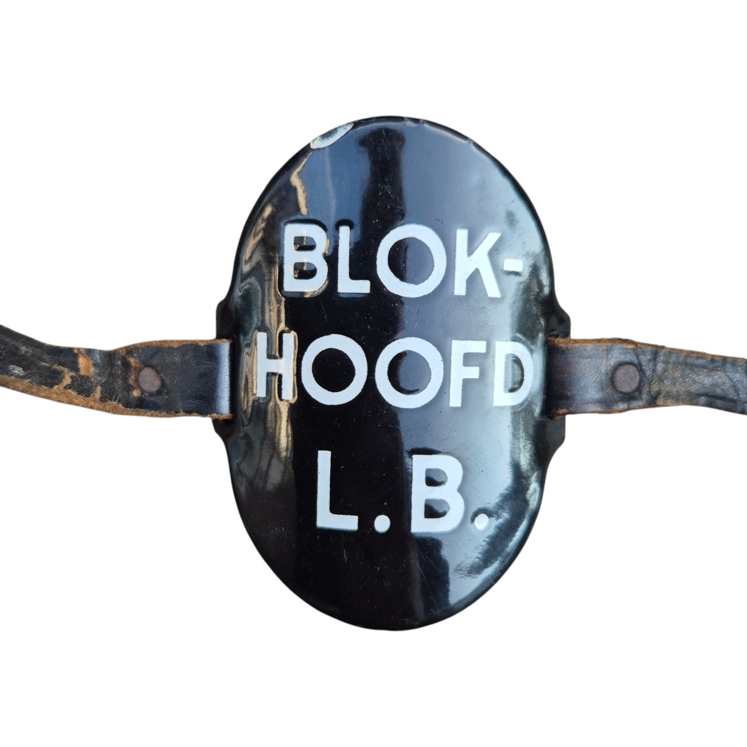 BlokhoofdLBDschild(2)