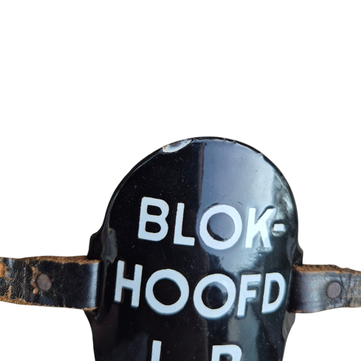 BlokhoofdLBDschild(3)