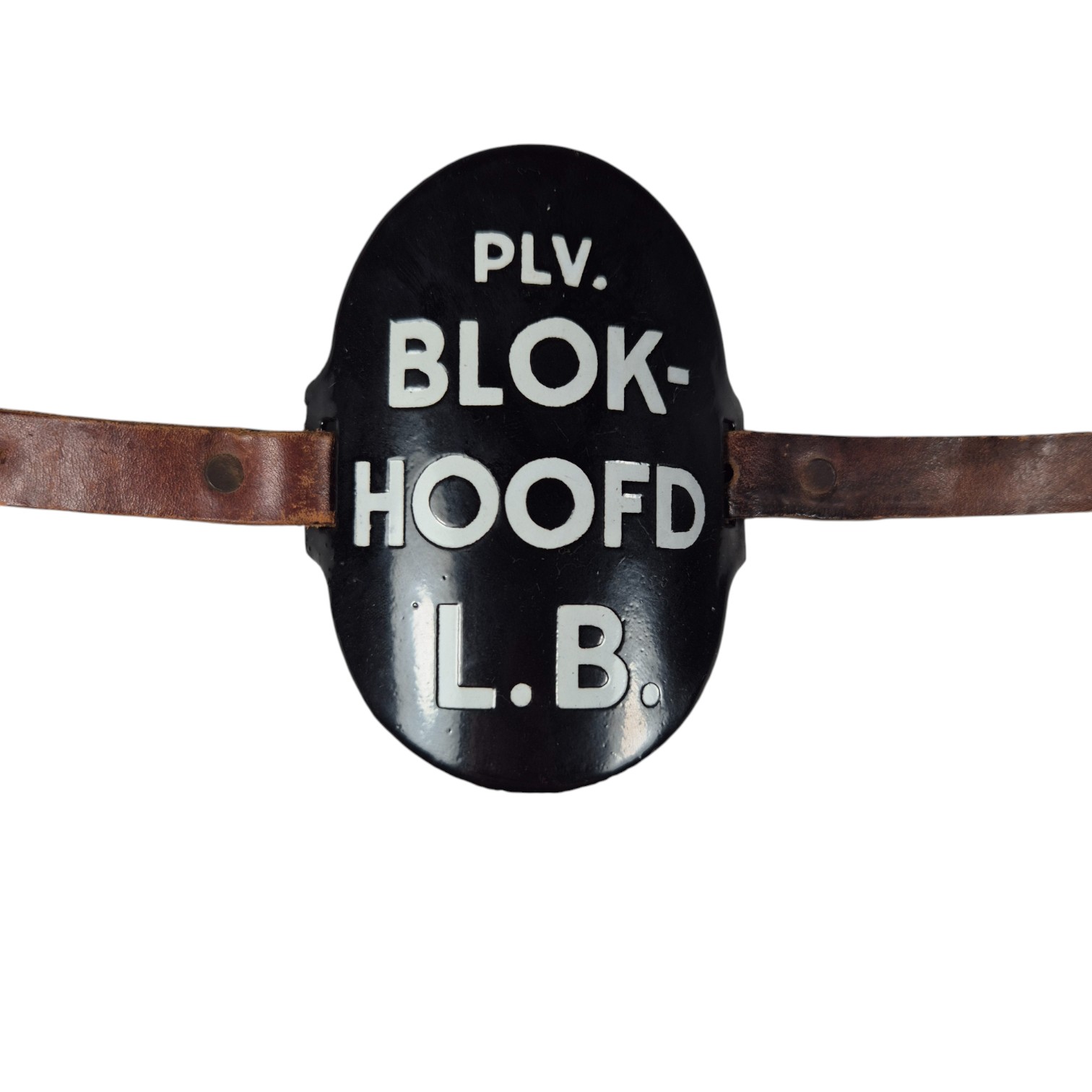 LBDschildplvblokhoofd123