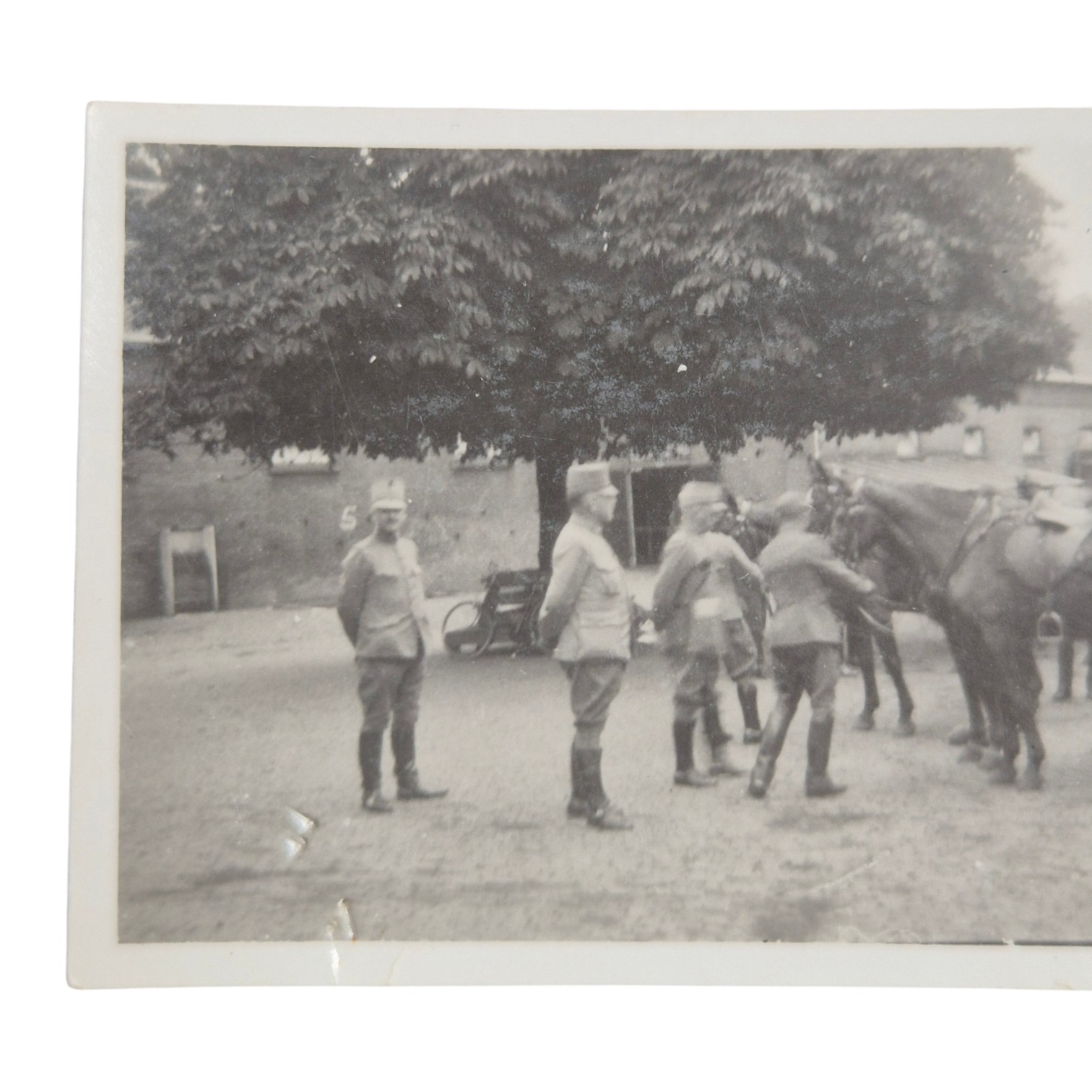 Luitenant-Kolonelfotoset(8)
