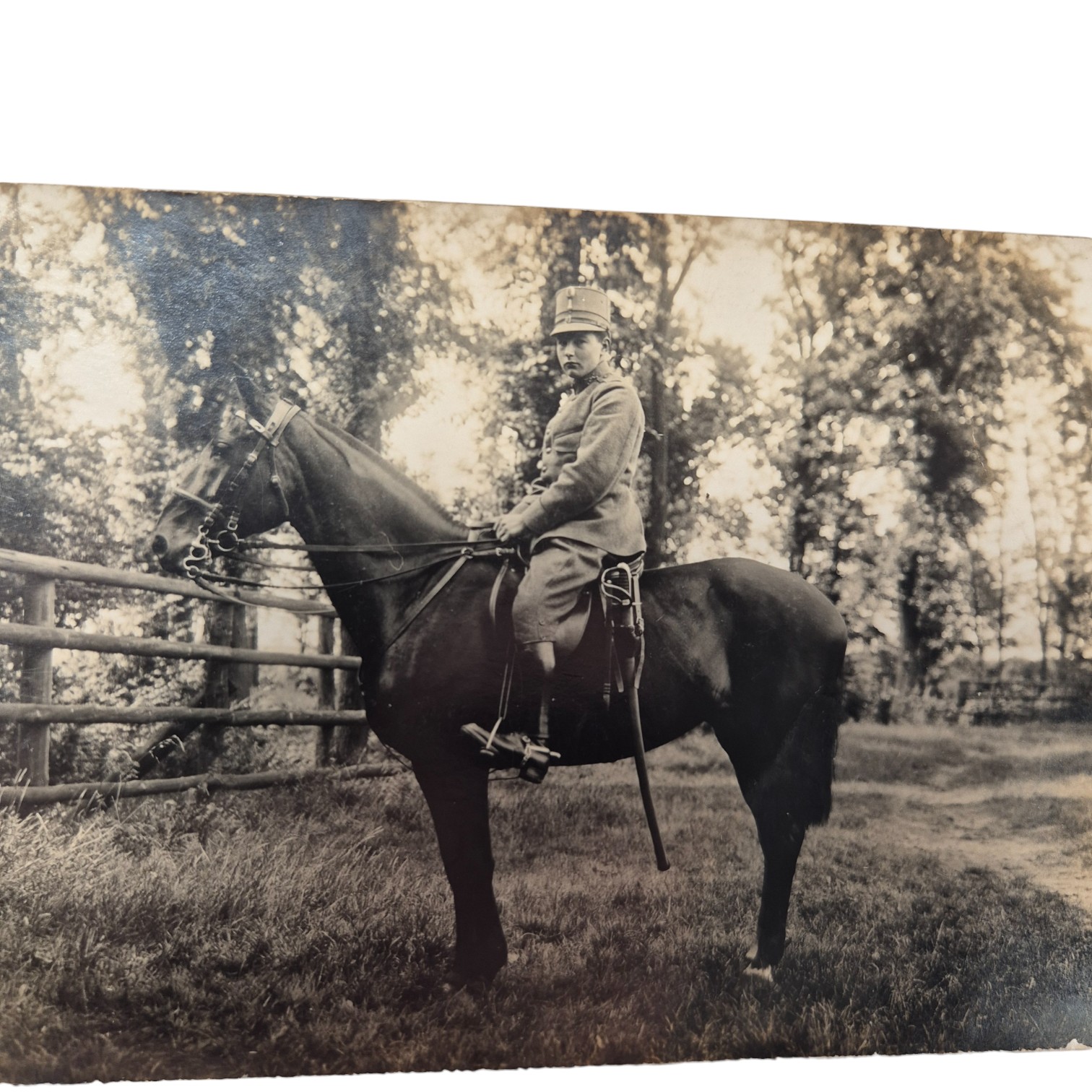 Nederlandse-foto-Artillerist-met-paard