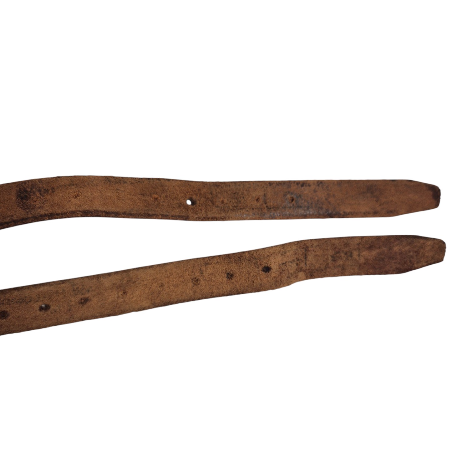 NederlandseRanselriemen(6)