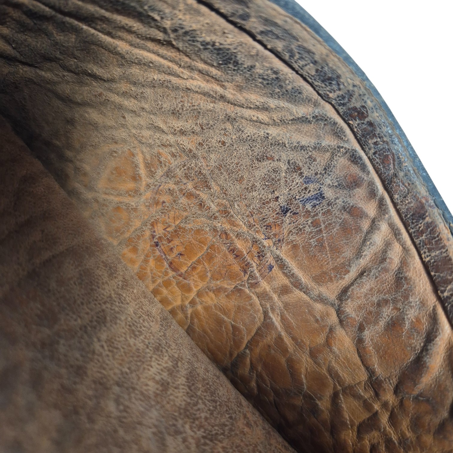 Nederlandsebeenkappendvalkadam(4)