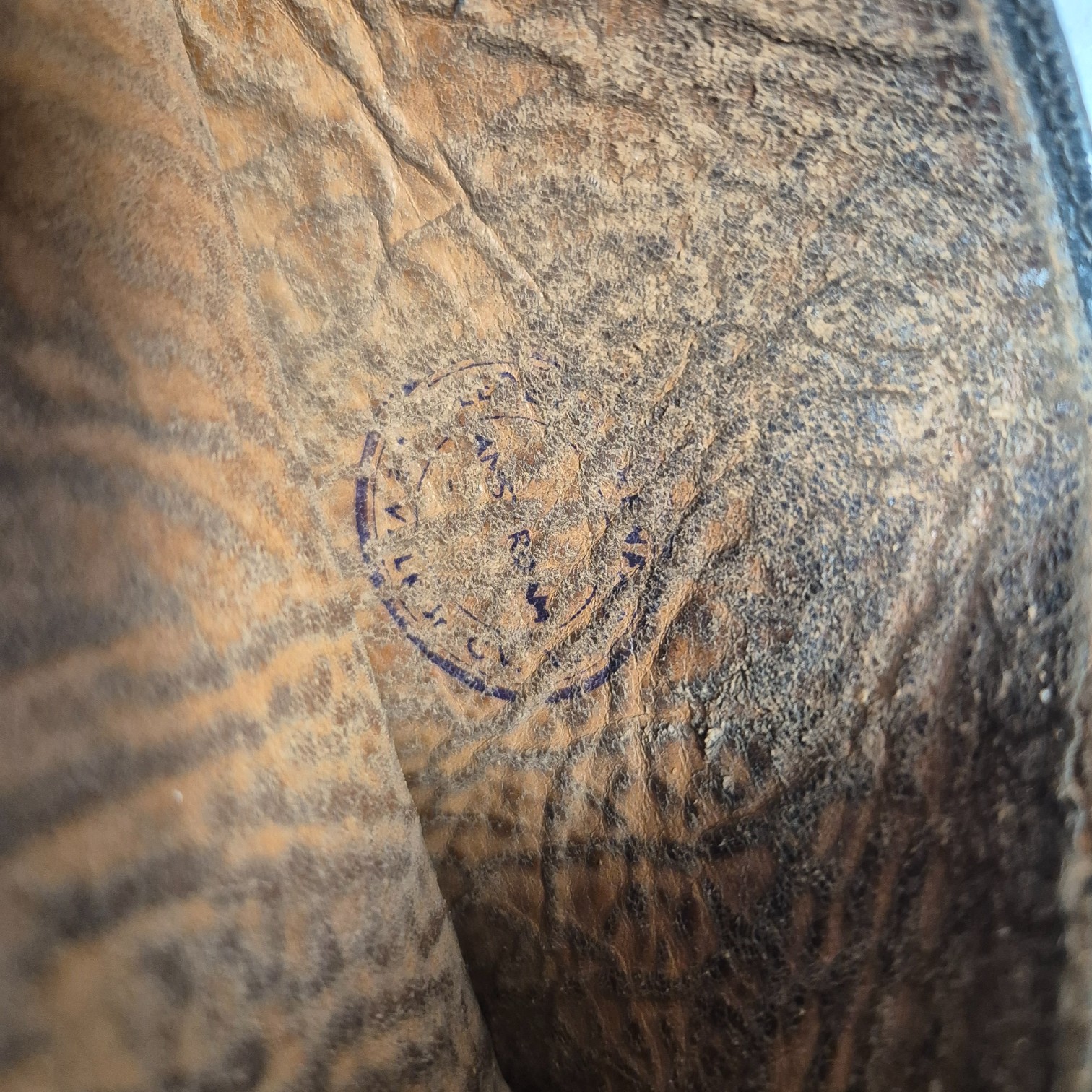 Nederlandsebeenkappendvalkadam(8)