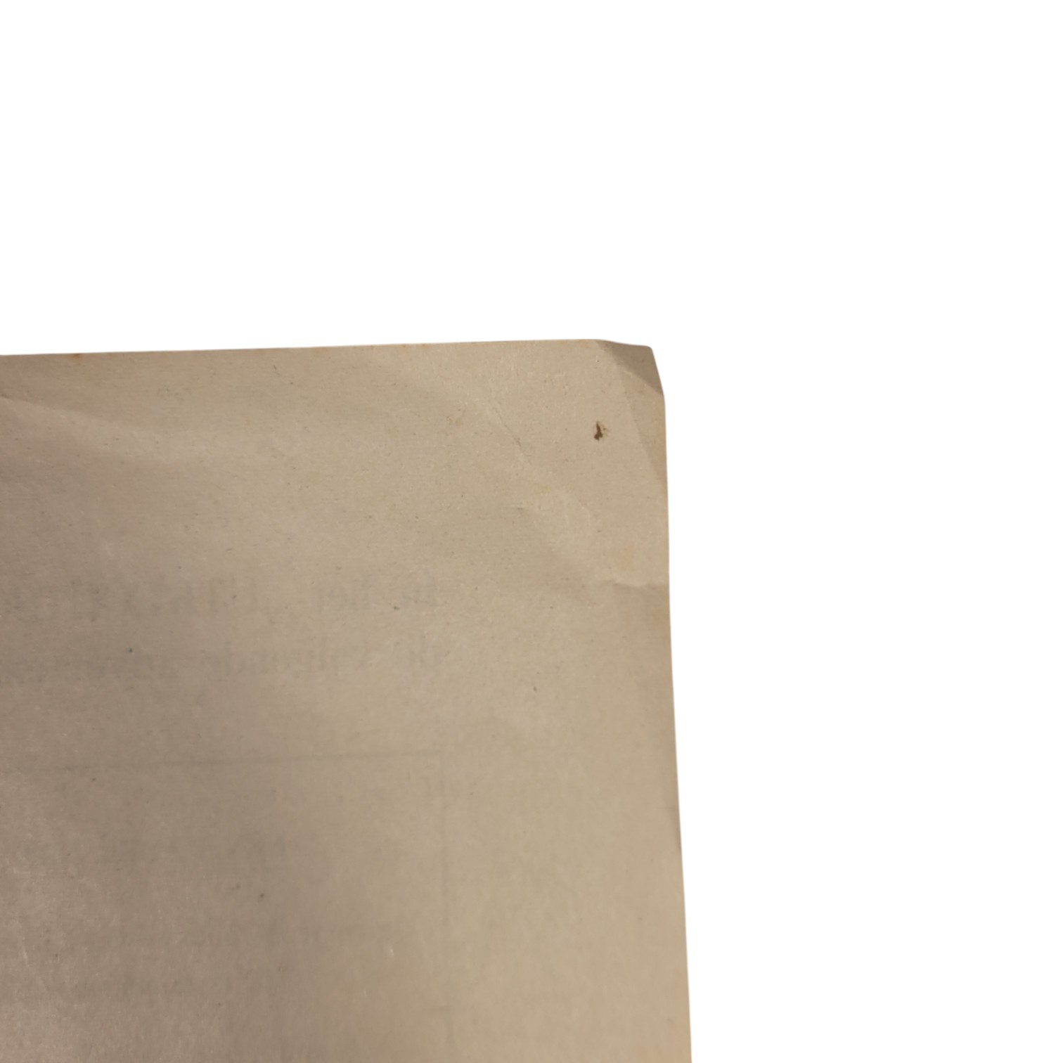 nsbflyer12(5)