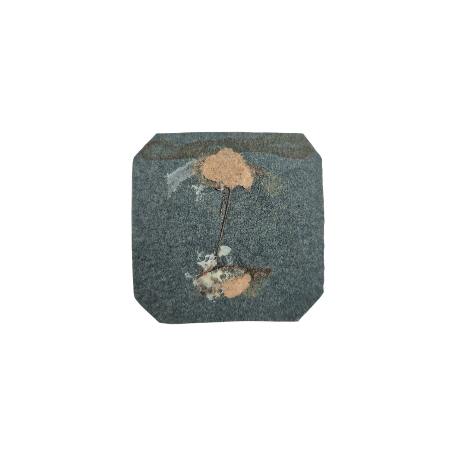 sxe-gdrfg-redghegews-qwfdvb(2)